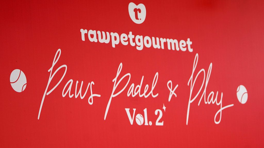 Serunya Padel Bareng Anabul di paws padel & play vol 2